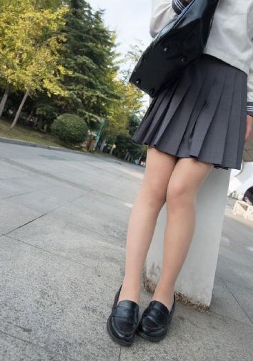 猫猫