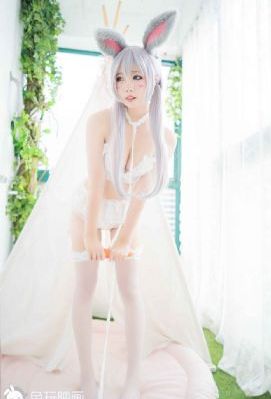 九重天电视剧免费观看全集高清