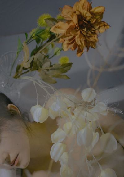 倩女杏花开