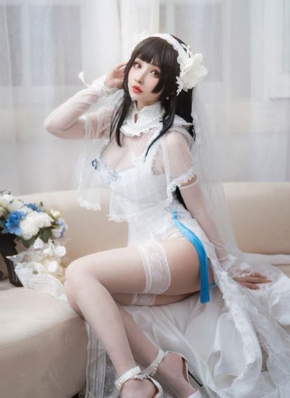 藏海花1-40集完整版免费观看