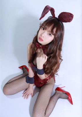 芝加哥警署第八季